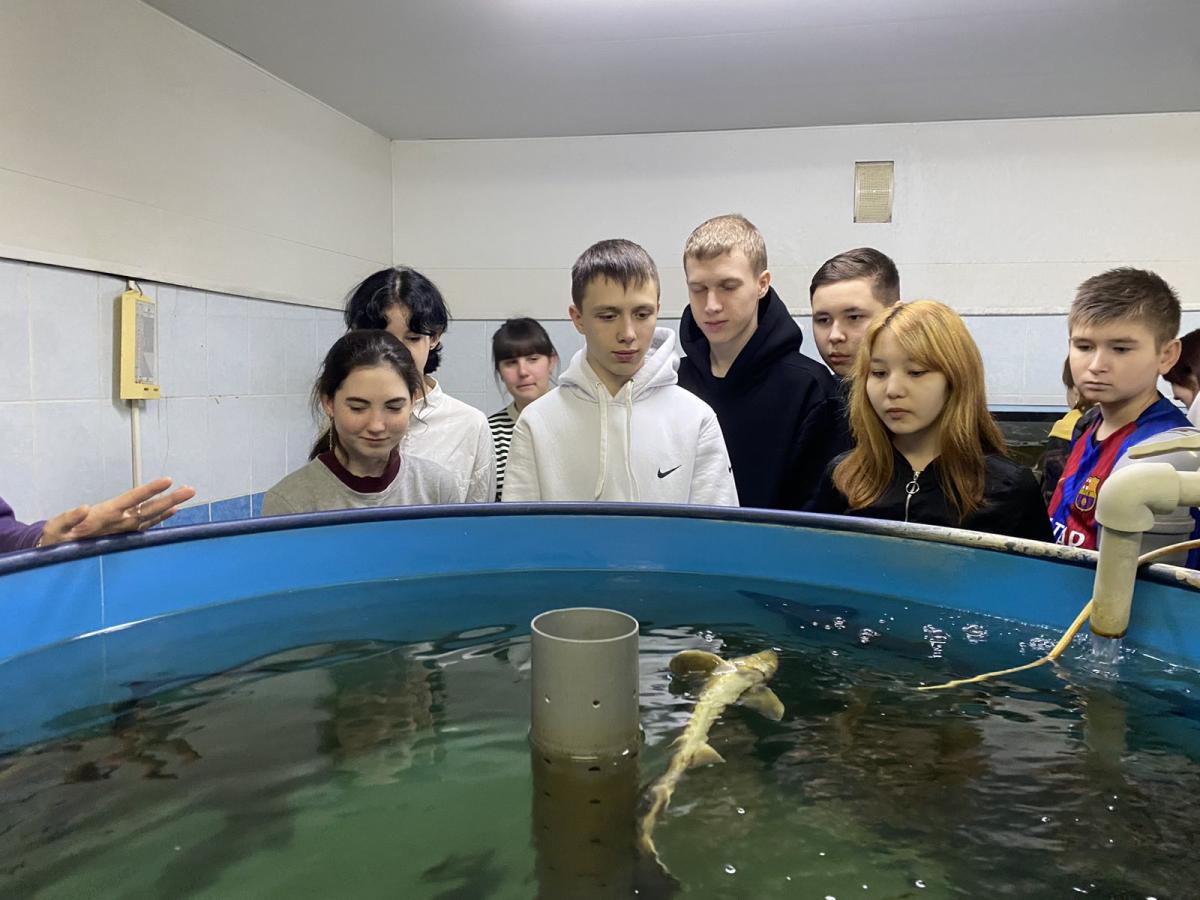 Пугачевские школьники посетили с экскурсией университет Фото 7