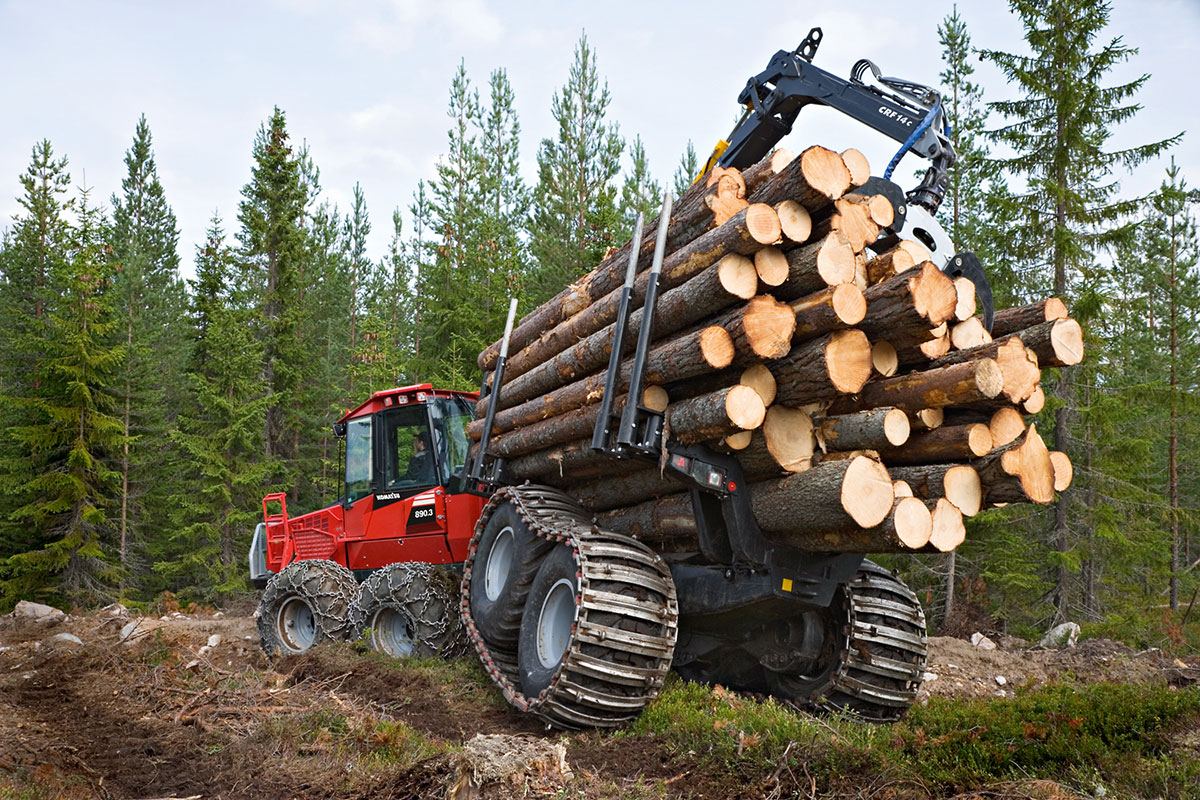 Направление подготовки: 35.04.02 Технология лесозаготовительных и деревоперерабатывающих производств. Фото 1