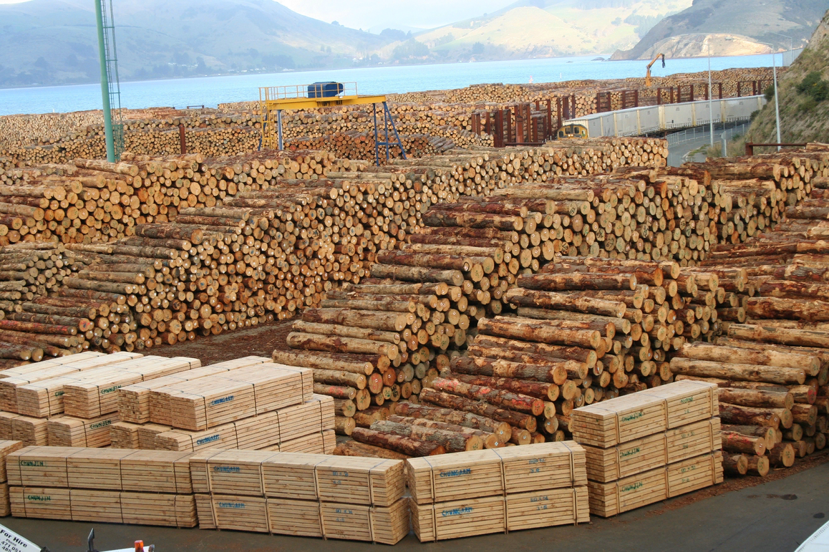 Направление подготовки: 35.04.02 Технология лесозаготовительных и деревоперерабатывающих производств. Фото 2