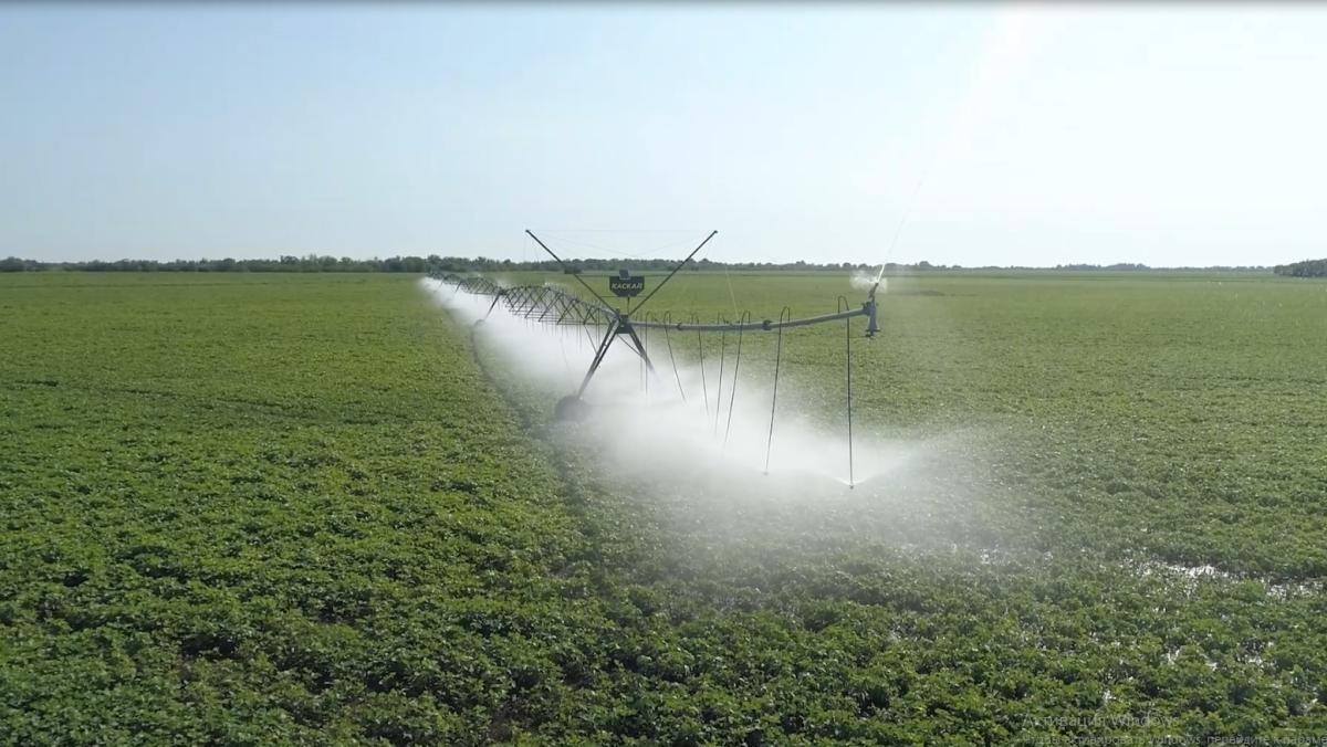 Направление подготовки:35.03.11 Гидромелиорация. Фото 1