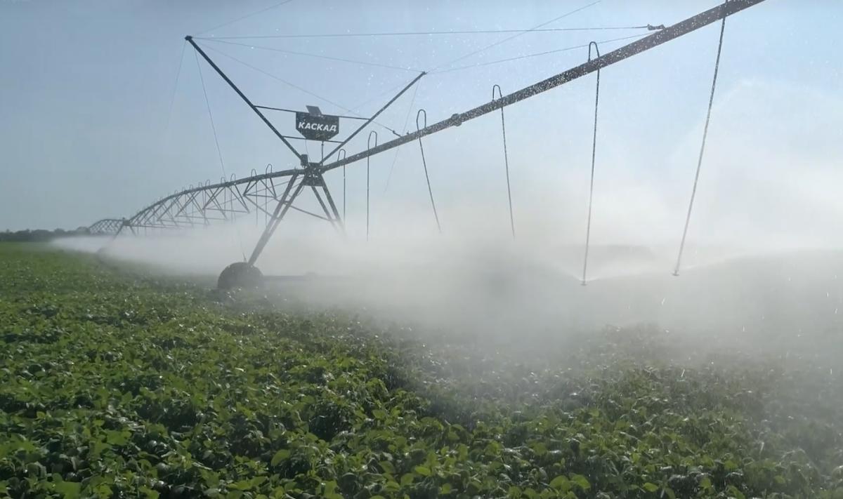 Направление подготовки:35.04.11 Гидромелиорация. Фото 1