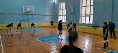 Учебно-тренировочное занятие по волейболу