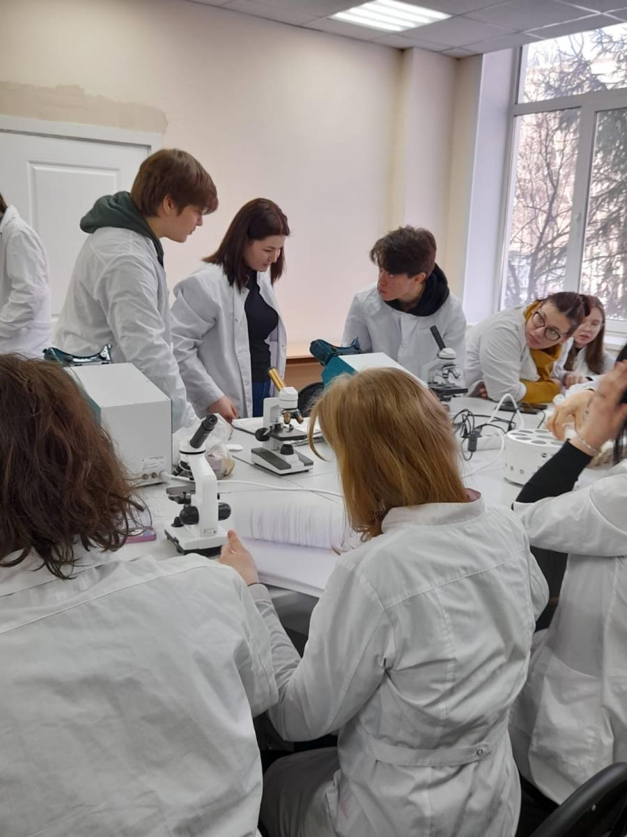 Мастер-класс по модулям демонстрационного экзамена МДК. 01.02 Методики ветеринарно-санитарной экспертизы продуктов и сырья животного происхождения Фото 9 Мастер-класс по модулям демонстрационного экзамена МДК. 01.02 Методики ветеринарно-санитарной экспертизы продуктов и сырья животного происхождения Фото 9