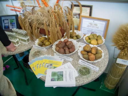 Преподаватели кафедры посетили выставку предприятий аграрной науки и ведущих растениеводческих хозяйств области Фото 9