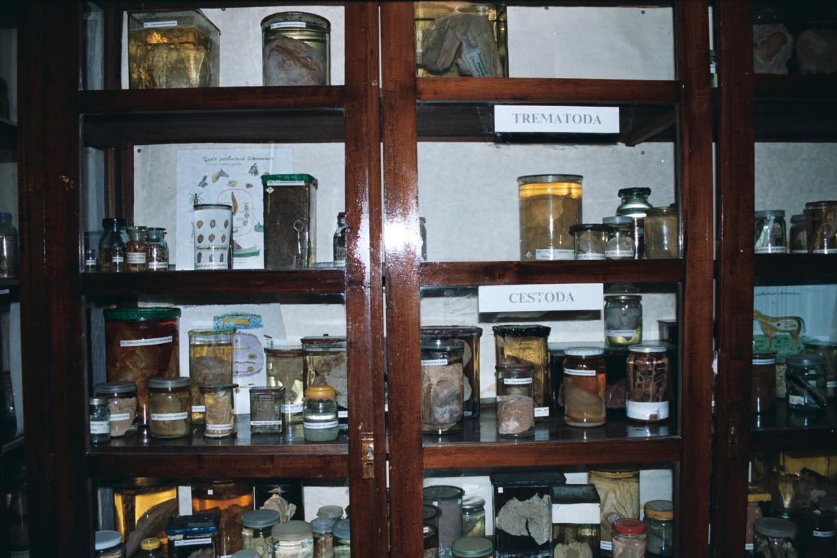 Проведение практических занятий в музее паразитологии Фото 1