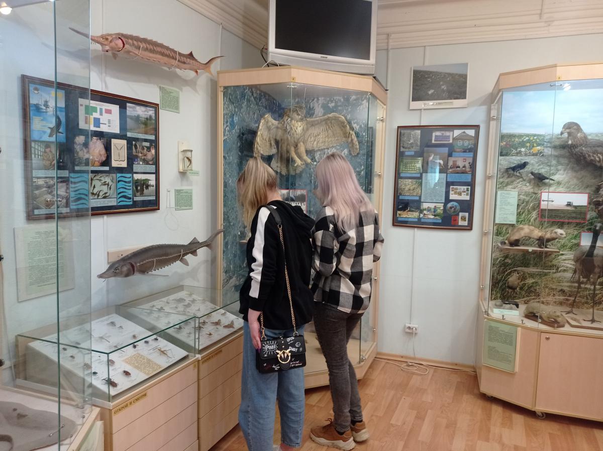 Посещение музея имени А.Н. Радищева Фото 12