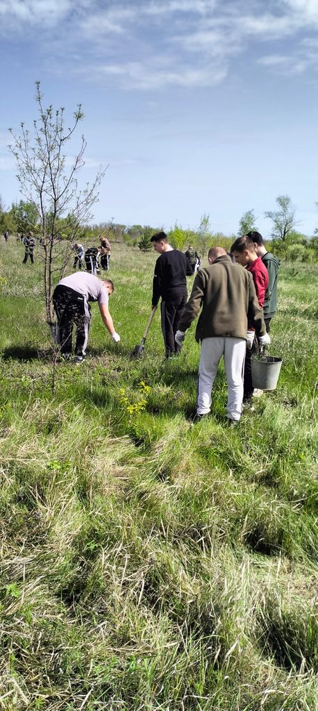 Обучающиеся Пугачевского филиала приняли участие во Всероссийской акции «Сад памяти» Фото 1