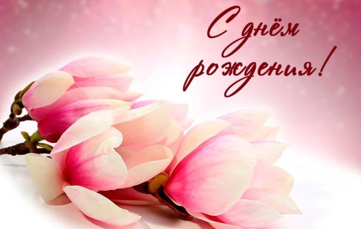 Кафедра поздравляет Молчанову Надежду Петровну с Днём рождения!