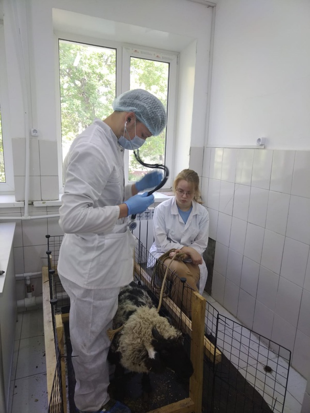 Студенты филиала приступили к выполнению демонстрационного экзамена Фото 1