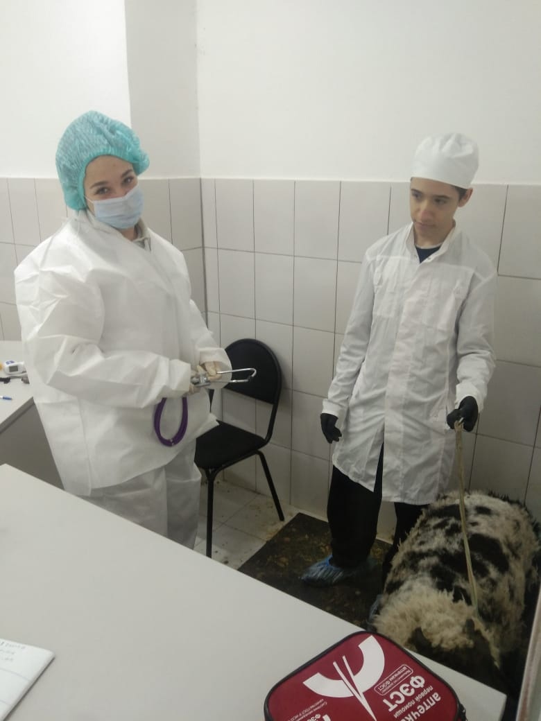 Проведение демонстрационного экзамена в рамках сетевого взаимодействия ФП "Профессирналитет" на базе центра проведения демонстрационного экзамена на площадке "Ветеринария" Фото 1