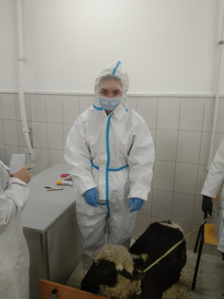 Проведение демонстрационного экзамена в рамках сетевого взаимодействия ФП "Профессирналитет" на базе центра проведения демонстрационного экзамена на площадке "Ветеринария" Фото 4