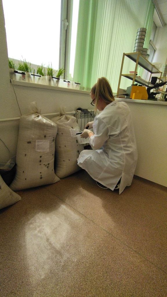 Демонстрационный экзамен выпускников специальности 35.02.05 Агрономия ФП «Профессионалитет» Фото 2