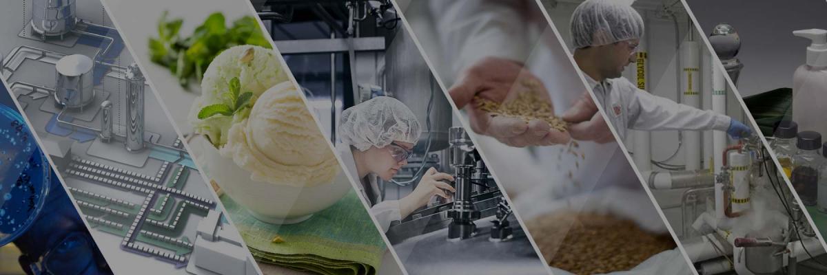 19.02.11 Технология продуктов питания из растительного сырья 