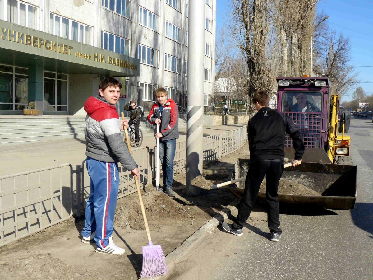 Факультет пищевых технологий и товароведения на благоустройстве территории УК №3 Фото 1