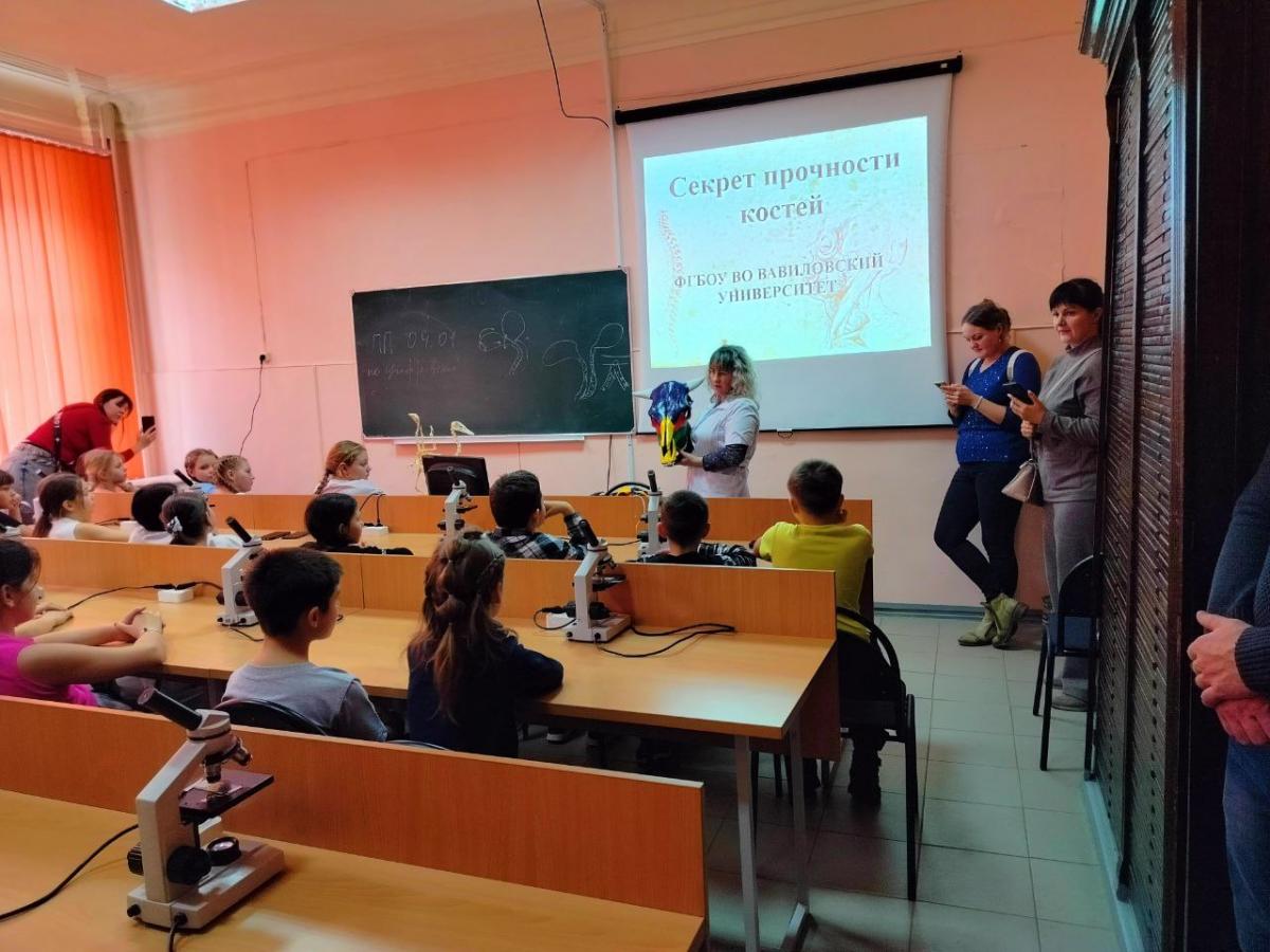 Молочные продукты и структура костей: есть ли взаимосвязь? Фото 2