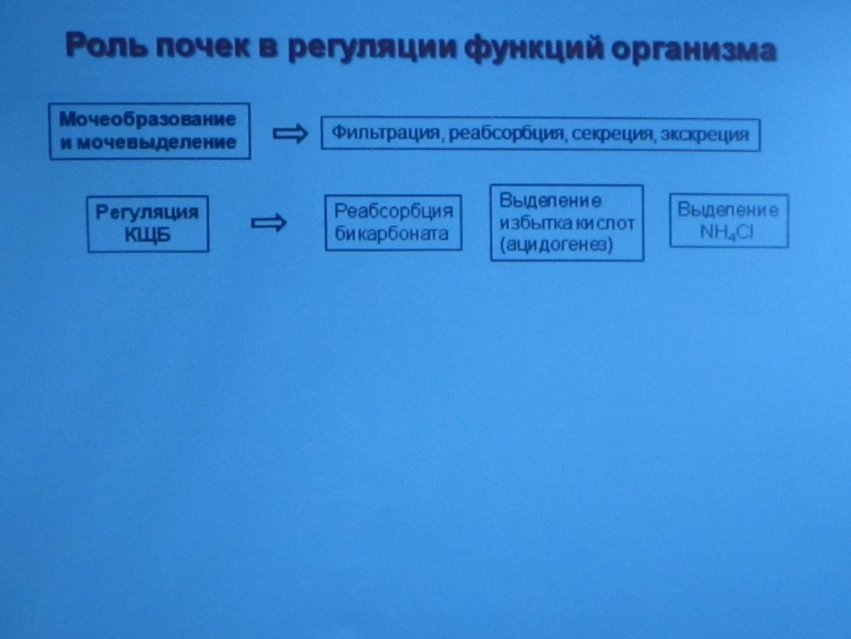 Привлечение ведущих  ученых других  ВУЗов к чтению лекций Фото 1