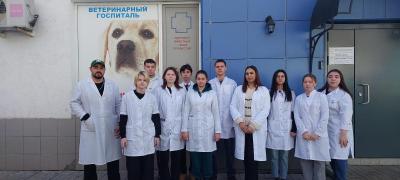 Кураторский час «Профессия и карьера. Моё настоящее для будущего», посвященный перспективам трудоустройства выпускников