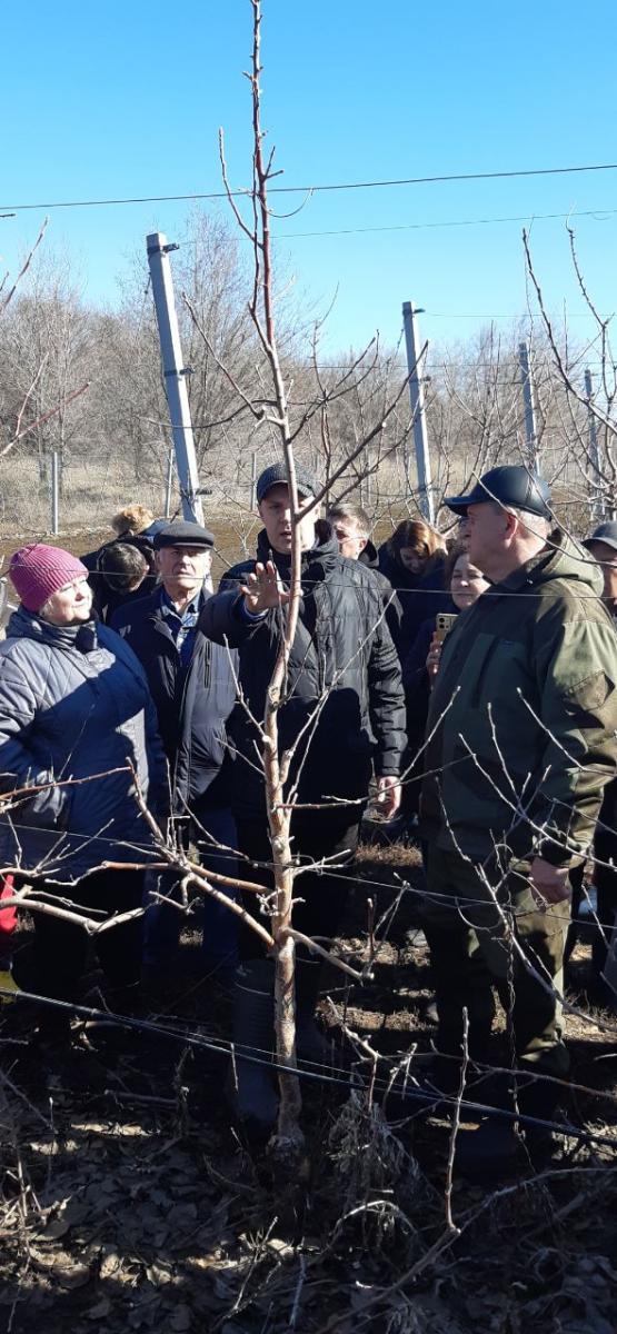 Практический семинар по направлениям повышения эффективности плодовых и ягодных культур Фото 2