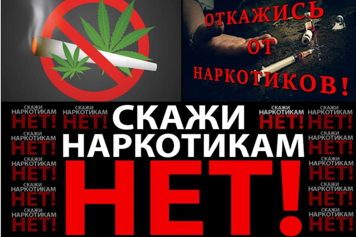Кураторский час 