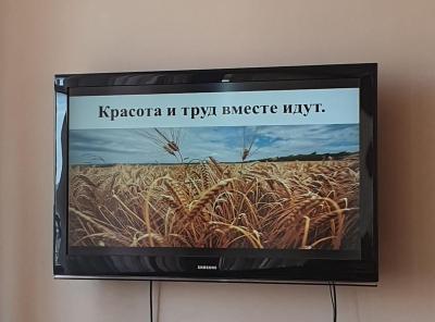 Занятие – дискуссия «Красота и труд вместе идут»