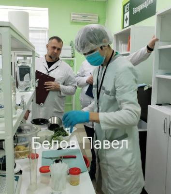 Студенты, участники конкурса Профессионалы 2025, поделились впечатлениями