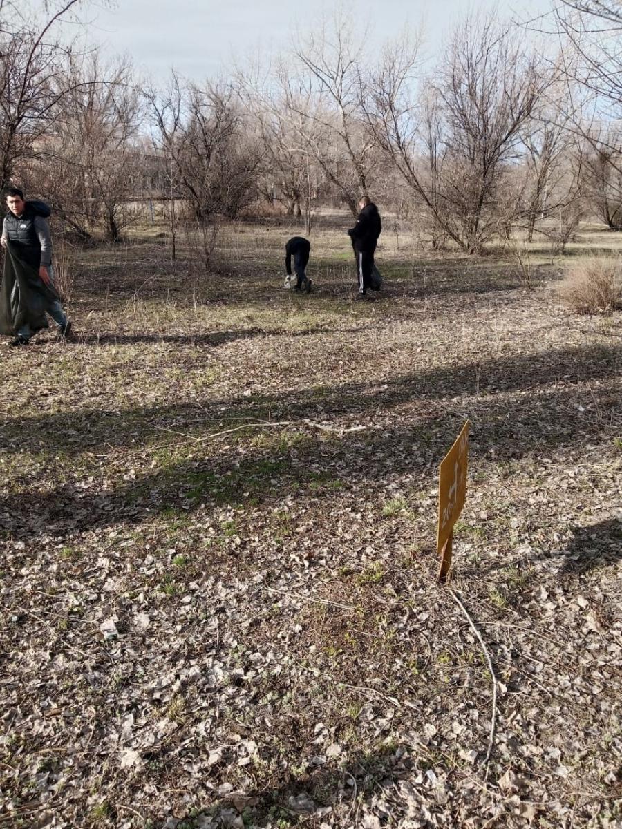 Студенты Краснокутского зооветеринарного техникума присоединились к старту  субботников, проходящих в рамках акции по благоустройству и озеленению территории Фото 1