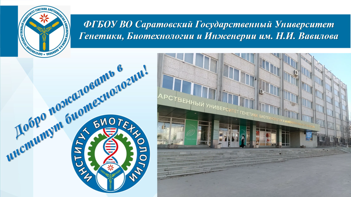 Профориентационная работа р.п. Лысые Горы