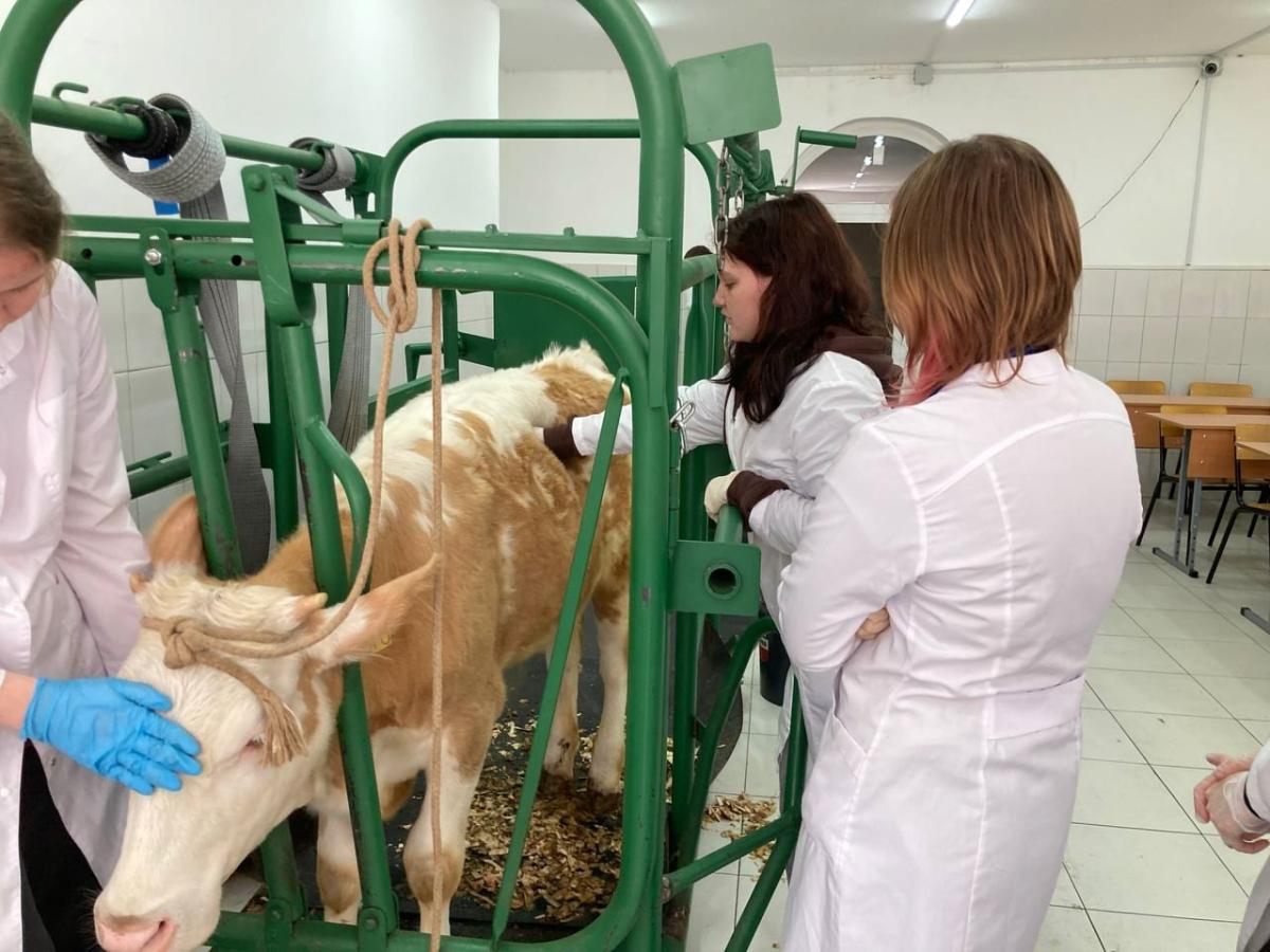 Прохождение учебной практики обучающимися специальности "Ветеринария" Фото 3