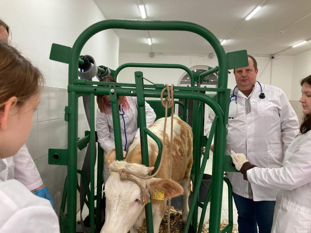 Прохождение учебной практики обучающимися специальности "Ветеринария" Фото 4