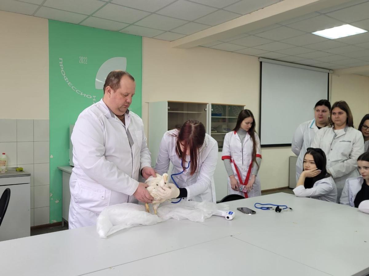 Прохождение учебной практики обучающимися специальности 