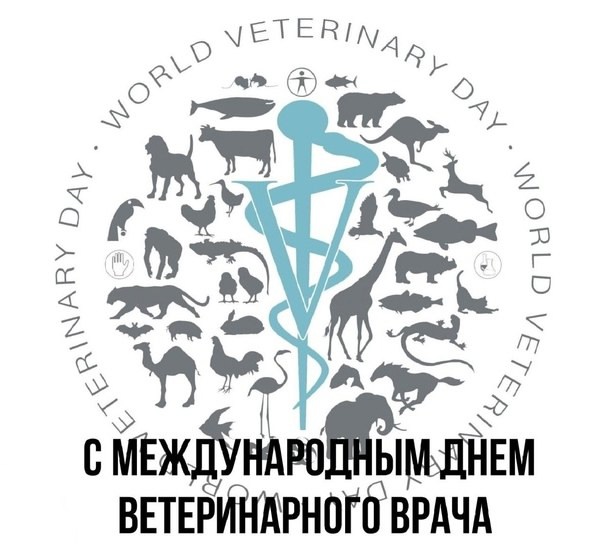 Деловая программа в рамках III Регионального чемпионата Высоких технологий в Саратовской области, мастер-класс Фото 1 Деловая программа в рамках III Регионального чемпионата Высоких технологий в Саратовской области, мастер-класс Фото 1