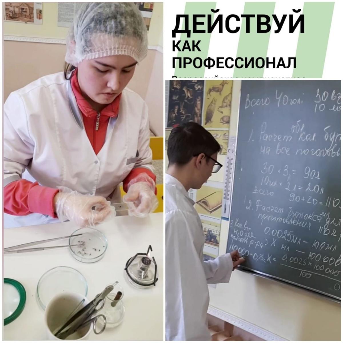 Деловая программа в рамках III Регионального чемпионата Высоких технологий в Саратовской области, мастер-класс Фото 2 Деловая программа в рамках III Регионального чемпионата Высоких технологий в Саратовской области, мастер-класс Фото 2