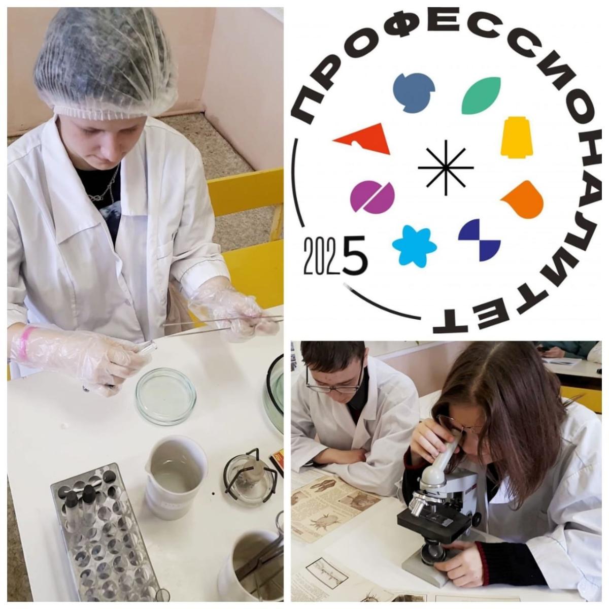 Деловая программа в рамках III Регионального чемпионата Высоких технологий в Саратовской области, мастер-класс Фото 3 Деловая программа в рамках III Регионального чемпионата Высоких технологий в Саратовской области, мастер-класс Фото 3