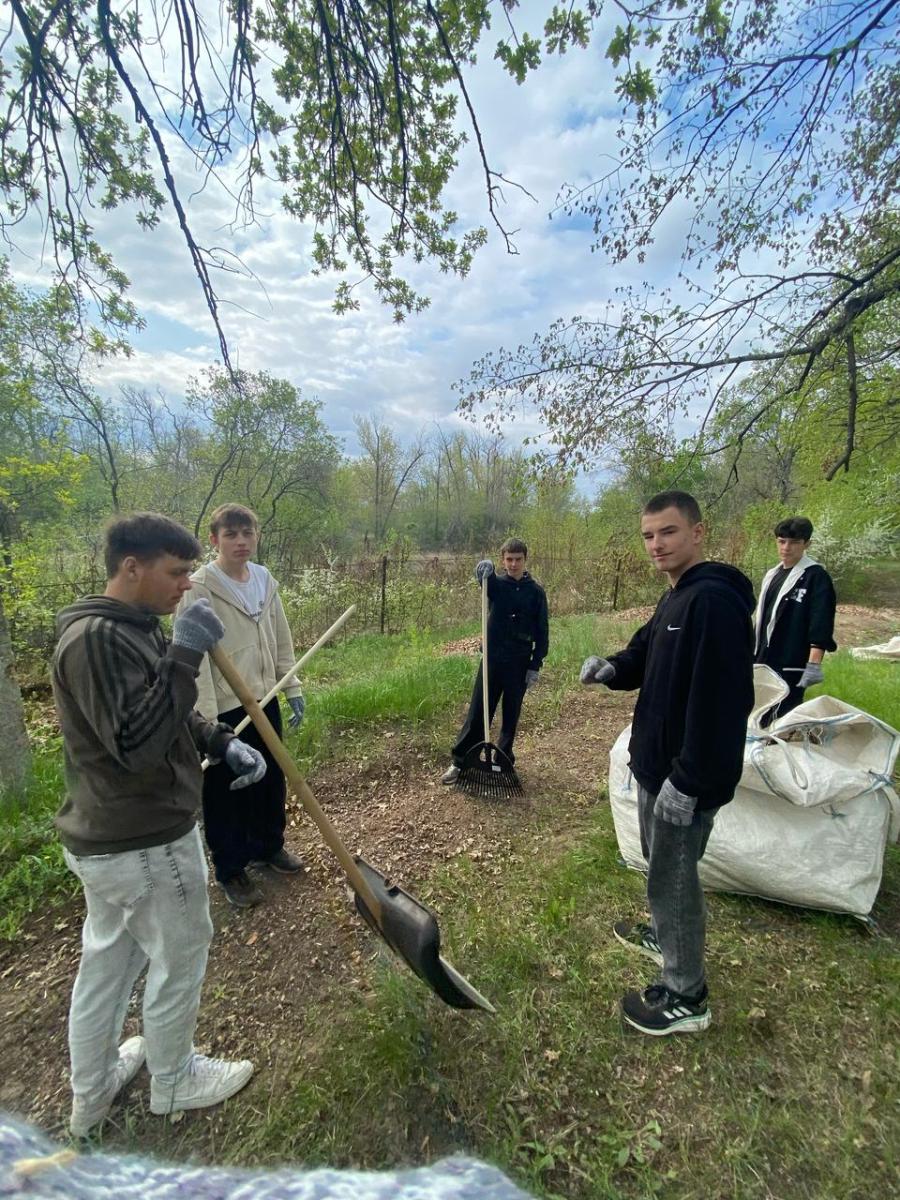Волонтерская помощь