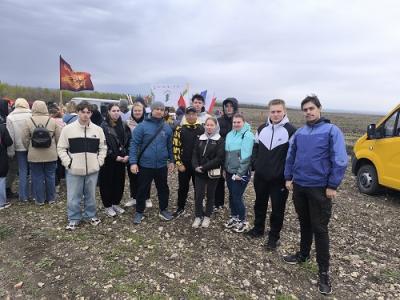 В Саратовской области высадили 2000 сосен