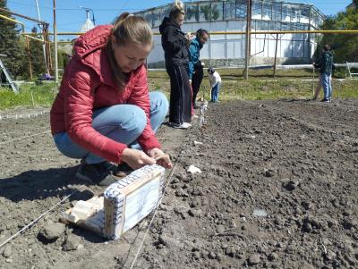 Посев селекционного питомника в УНПК "Агроцентр"