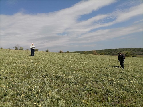 Экологическая акция в рамках научного волонтерства на кафедре «Ботаника и экология» Фото 7