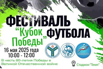 Вавиловцы приглашаются на фестиваль футбола «Кубок победы»