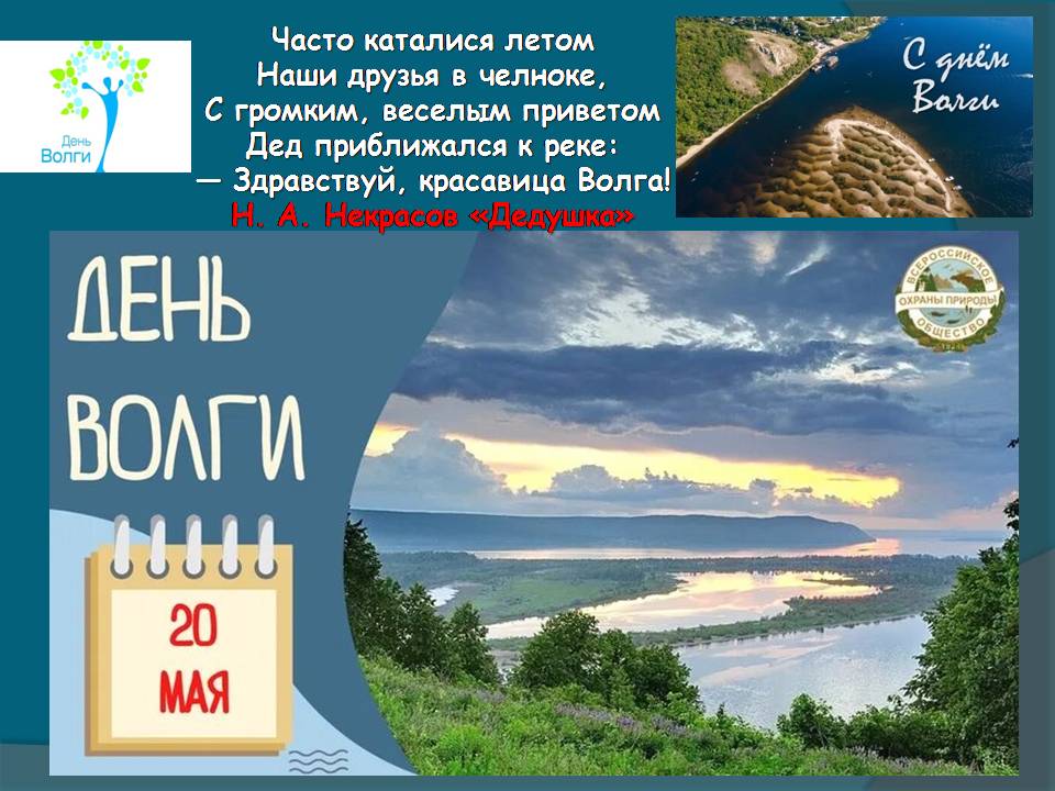 Эко-брейн-ринг «Издалека долго течет река Волга…» Фото 7