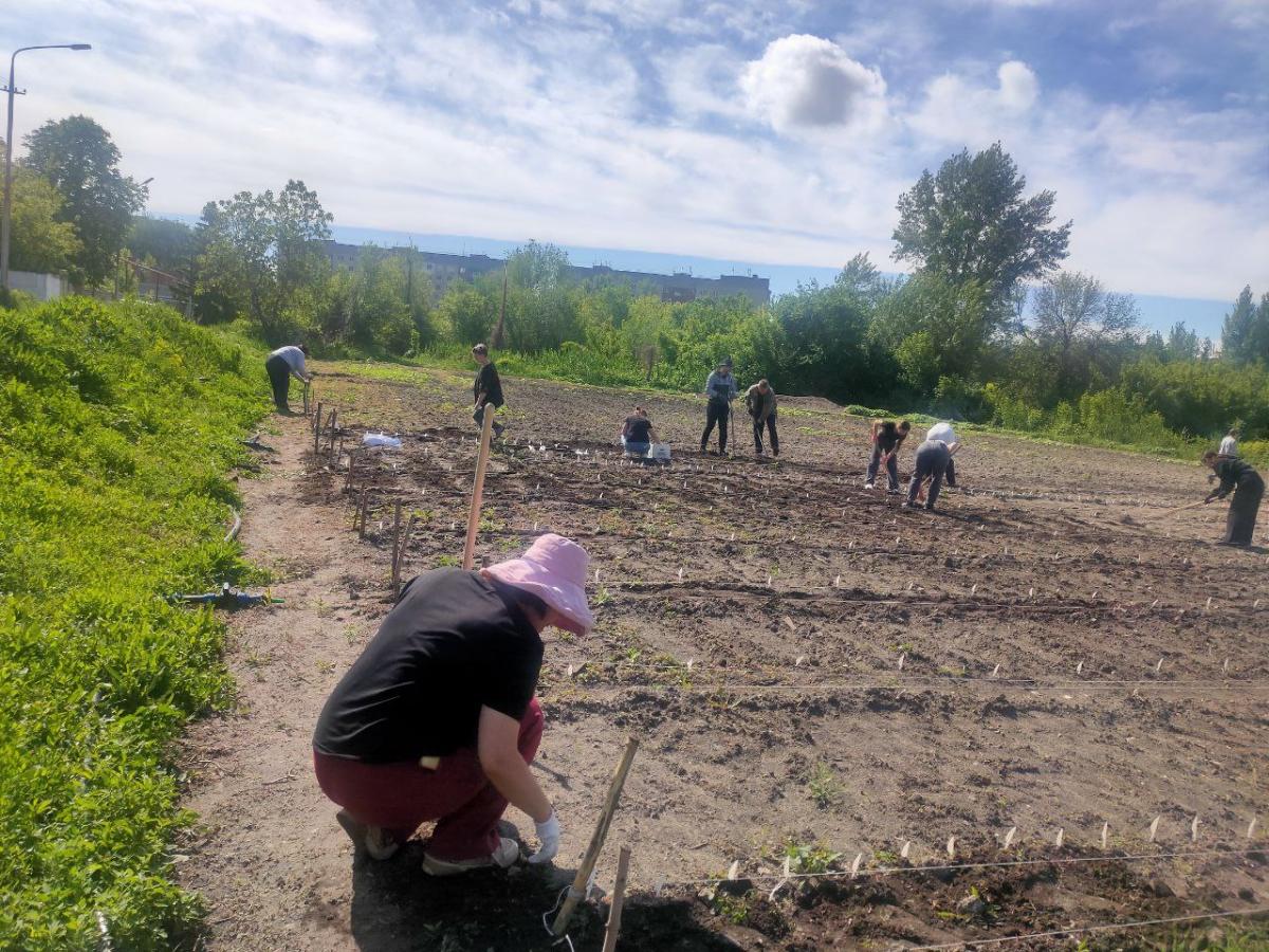 Посев селекционного питомника в УНПК "Агроцентр" Фото 3