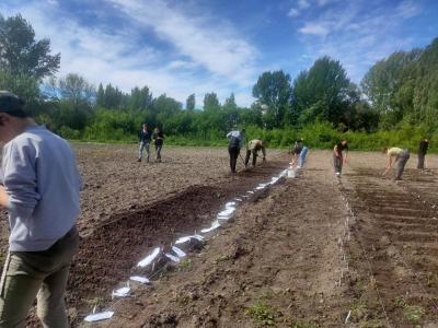 Посев селекционного питомника в УНПК "Агроцентр"