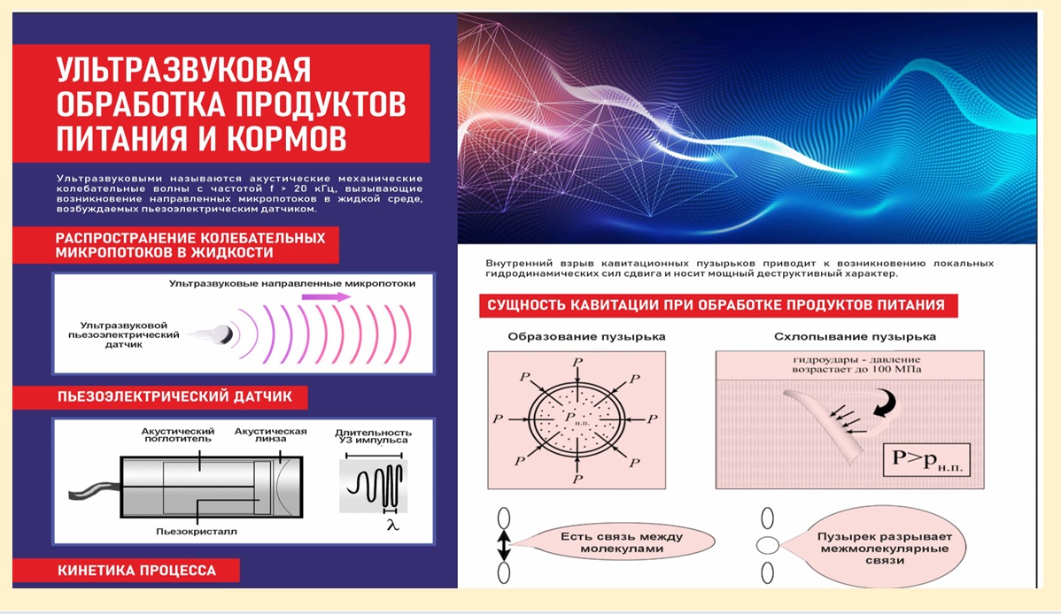 X Бизнес-форум МАСЛИЧНАЯ КУЛЬТУРА. МИРОВАЯ СОЯ Фото 2