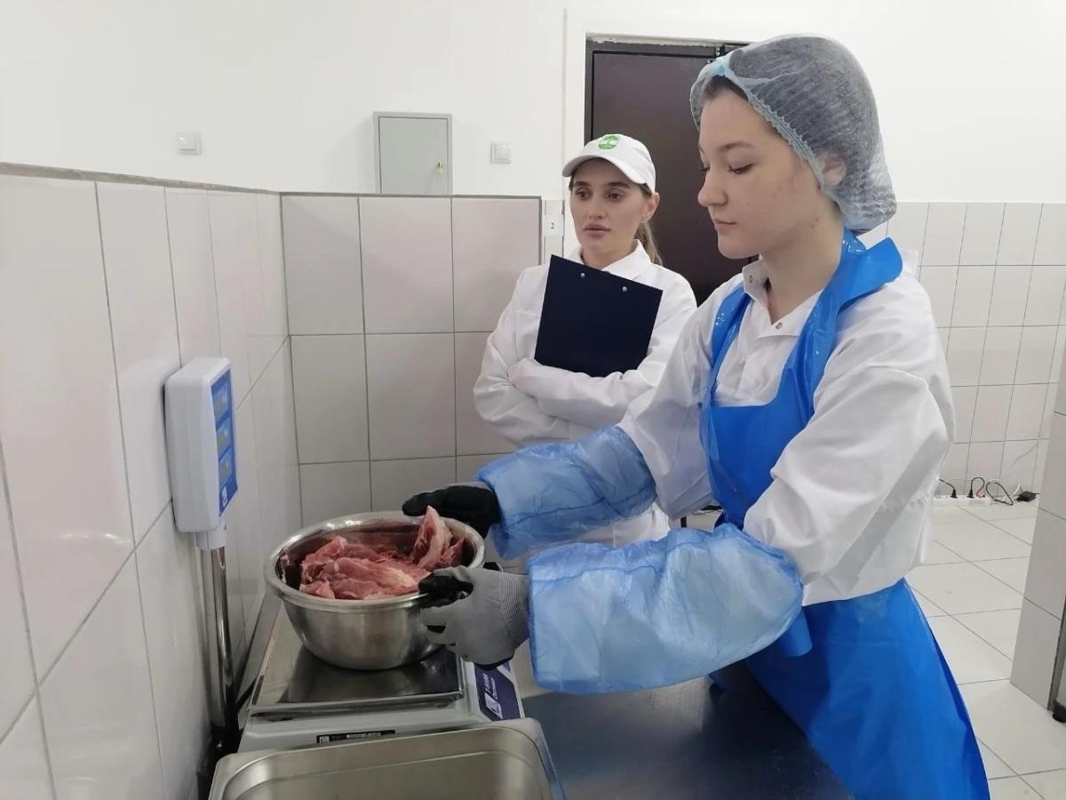 Программа «Профессионалитет» - от ветеринаров до агрономов! Фото 1