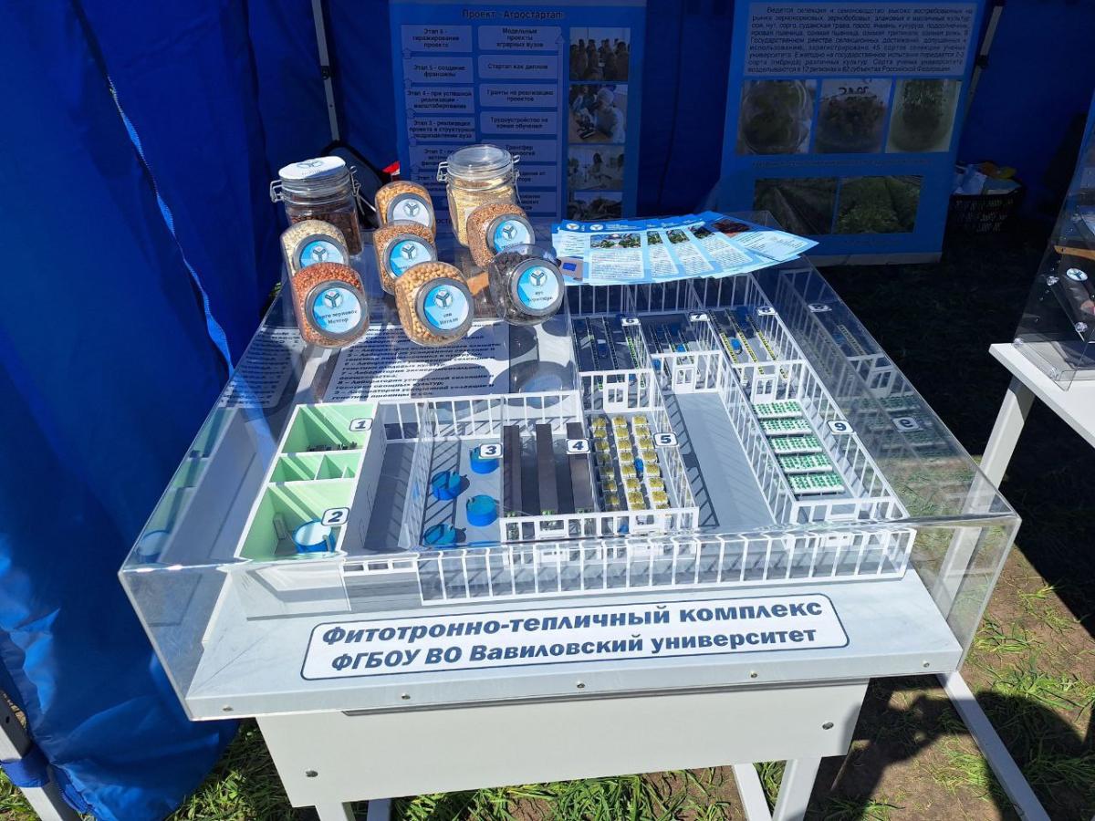 Разработки Института генетики и агрономии представлены на Всероссийском Дне поля-2025. Фото 2