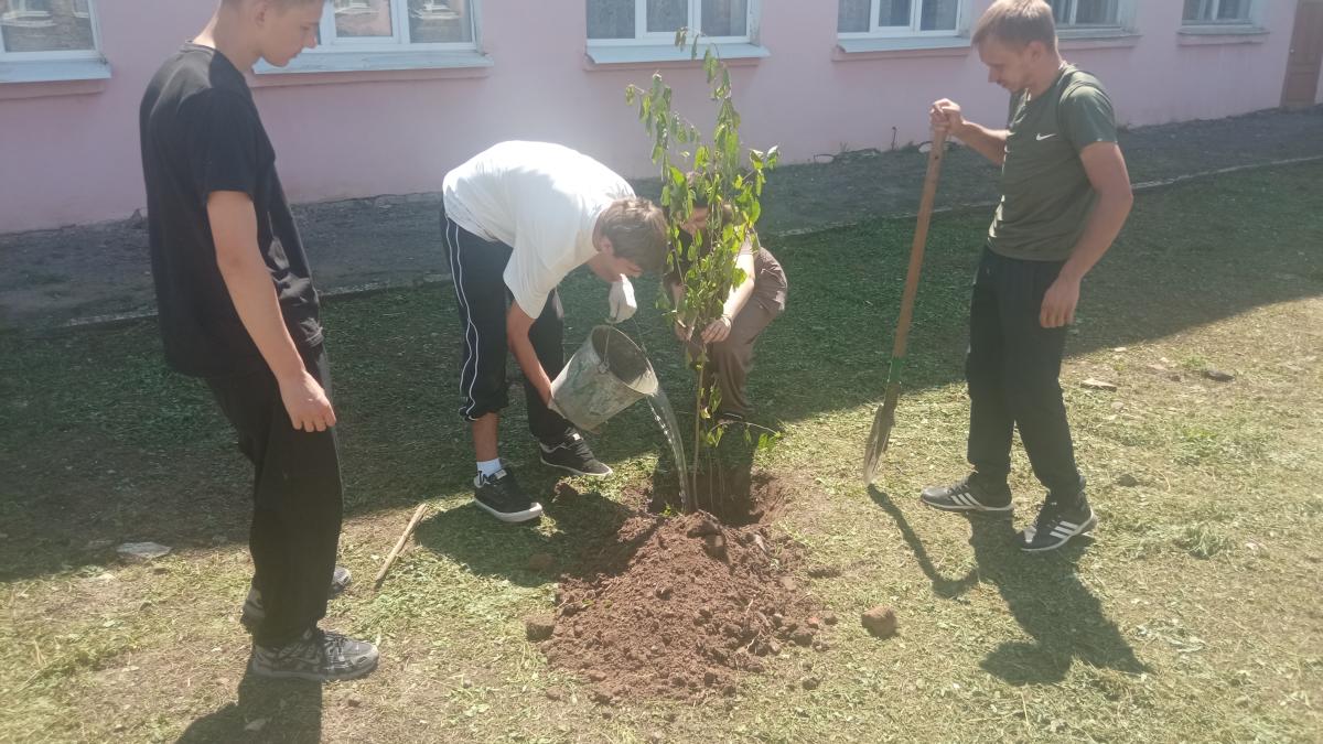 Молодые педагоги Марксовского филиала посадили деревья в День любви, семьи и верности. Фото 4