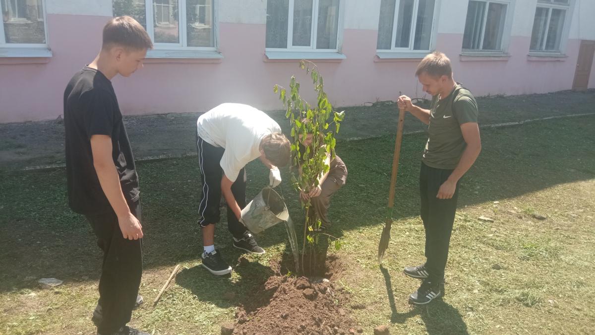 Молодые педагоги Марксовского филиала посадили деревья в День любви, семьи и верности. Фото 6