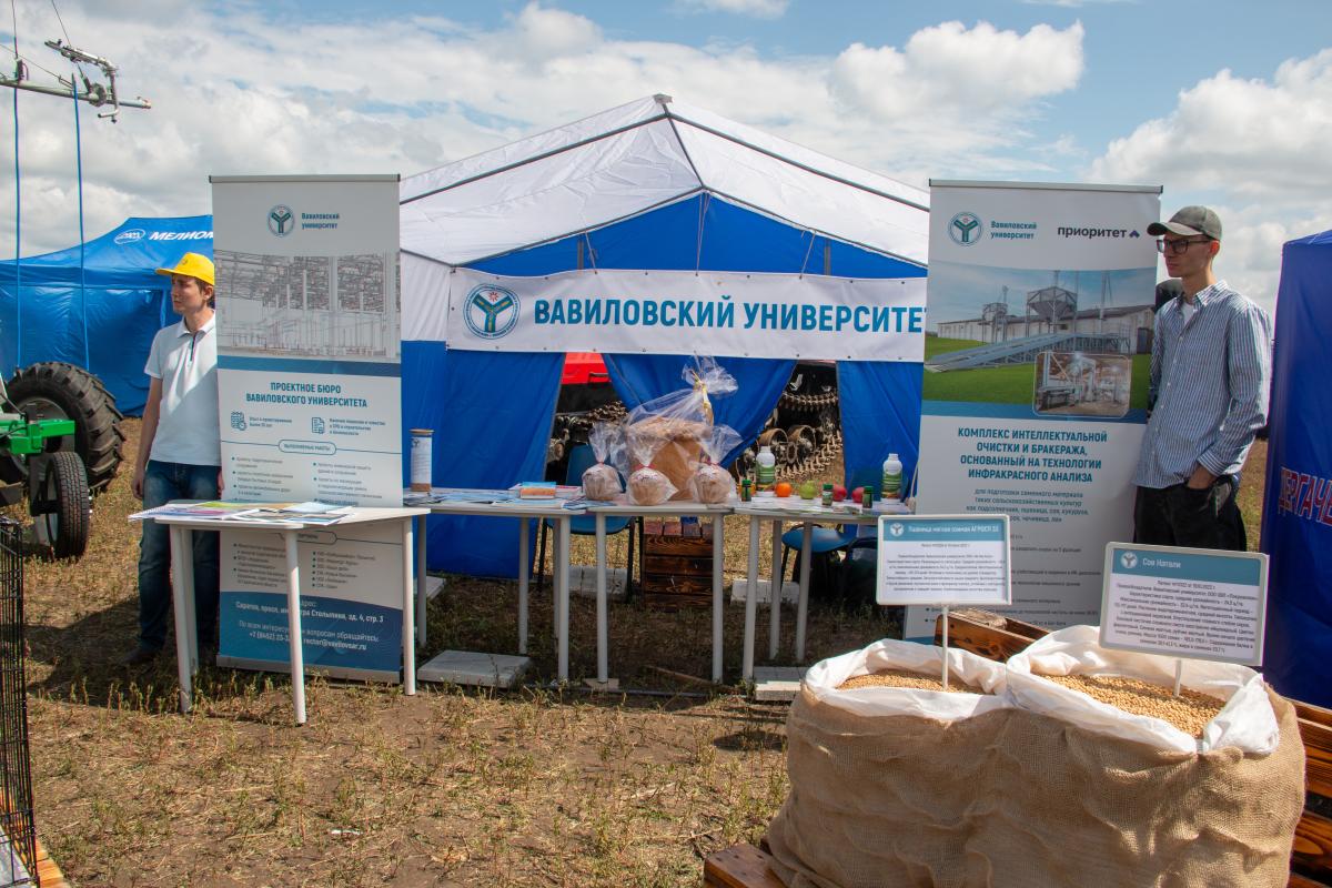 «Саратов-Агро. День Поля. 2025»: Вавиловский университет представил разработки ученых Фото 1