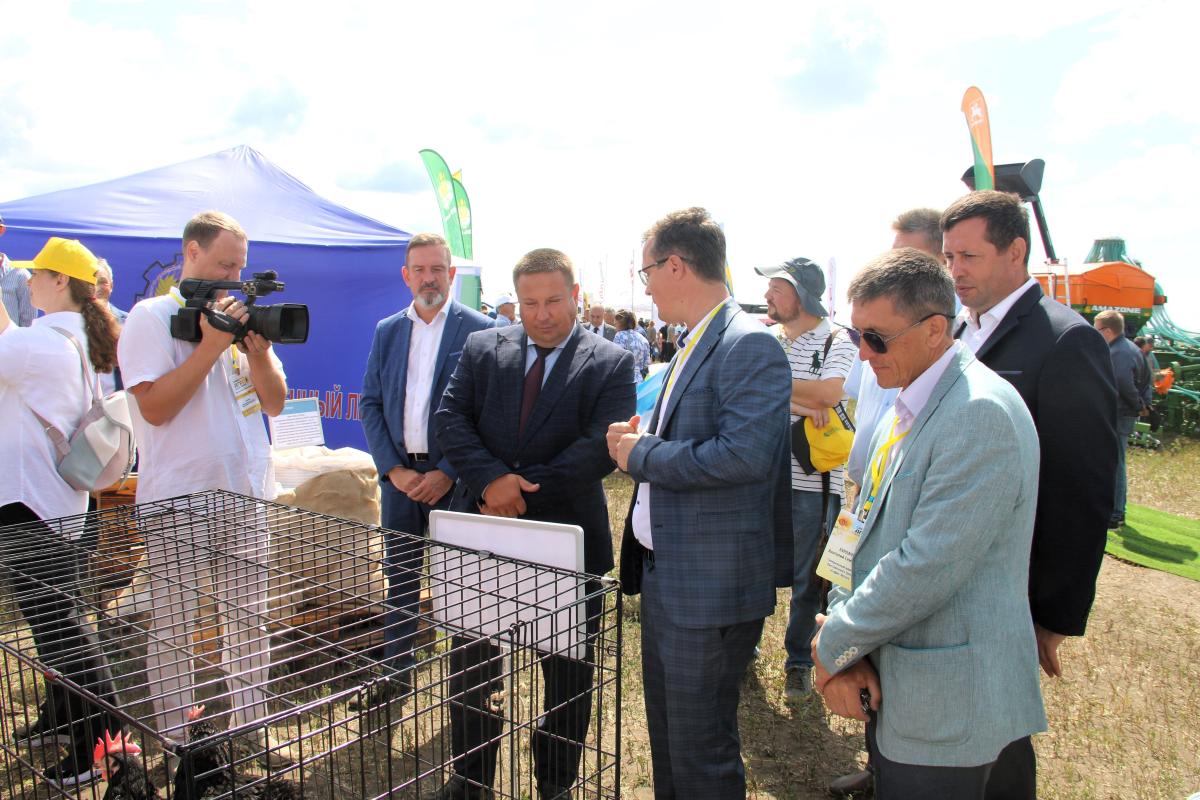 «Саратов-Агро. День Поля. 2025»: Вавиловский университет представил разработки ученых Фото 16