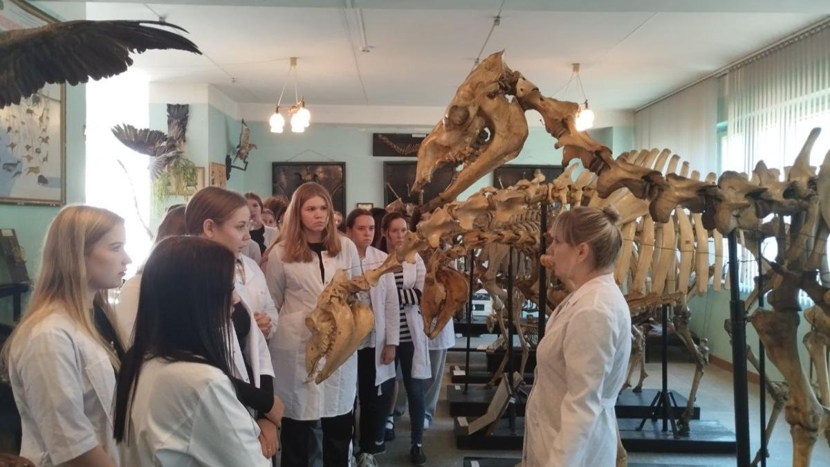 Профориентация для обучающихся Финансово - технологического колледжа Фото 1