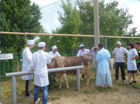 Конкурс«Лучший студент специальности «Ветеринария» Фото 2